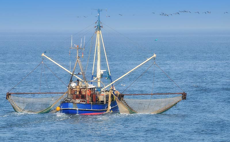 Artikelbild Mehr Geld für Rügen-Fisch-Mitarbeiter