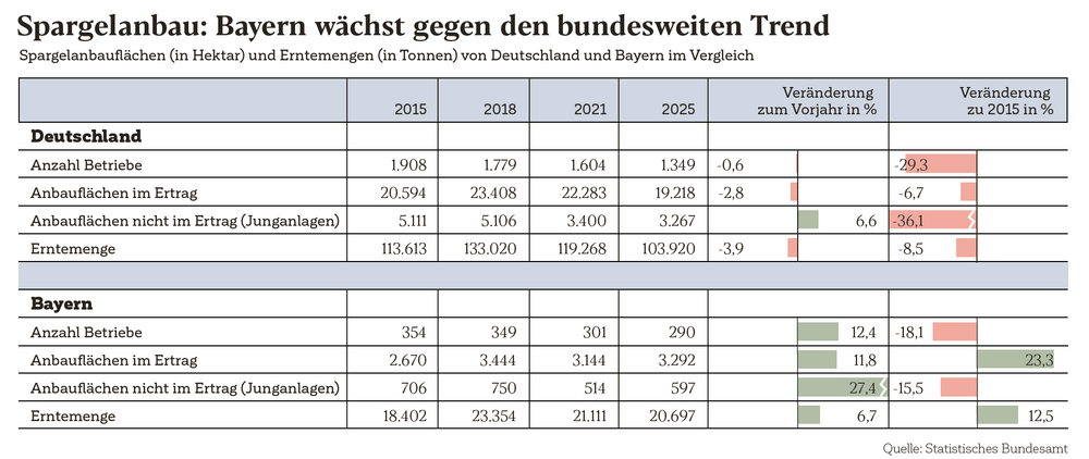 Spargelanbau in Bayern wächst